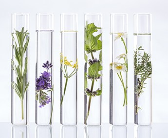 Science of Scent