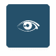 Eye Wound